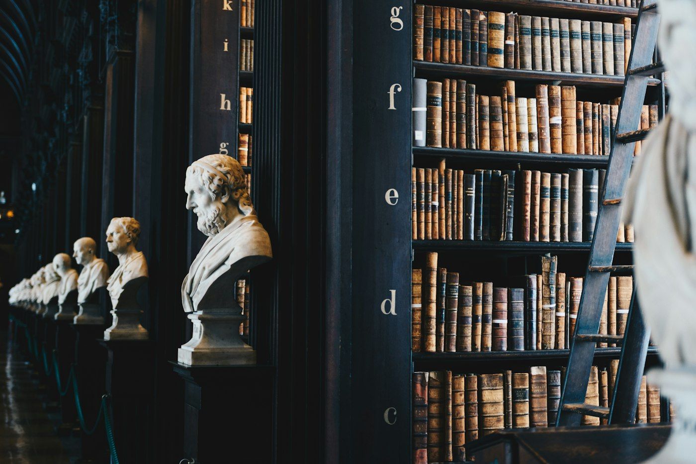 Biblioteca giuridica con busti in marmo